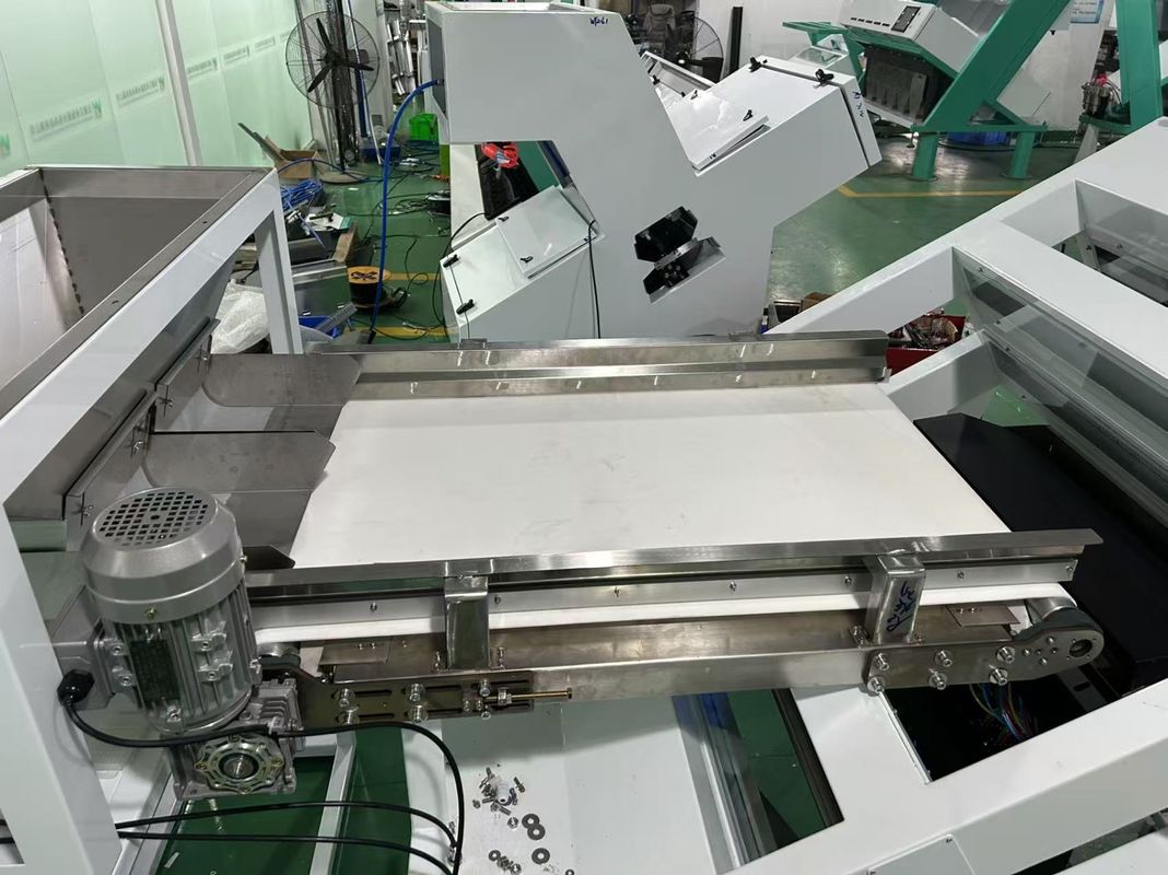 CCD Belt Color Sorter for Fruits and Vegetables with 99.99% Accuracy