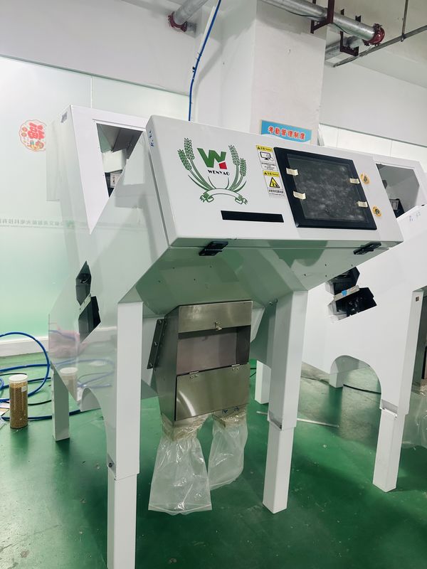 Máquina automática de triagem de cores de pimenta preta para triagem de sementes de feijão de alta precisão