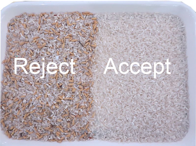 WENYAO Máquina avançada de separação de cores de arroz Máquina de triagem de cores de arroz 900kg/H Capacidade CCD Core Fácil manutenção