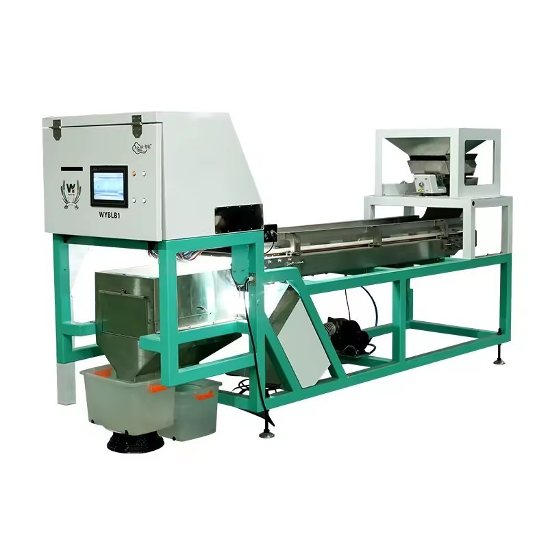Semente de WENYAO Walnut Shell Removal Machine que seleciona a máquina do classificador da cor da porca do AI