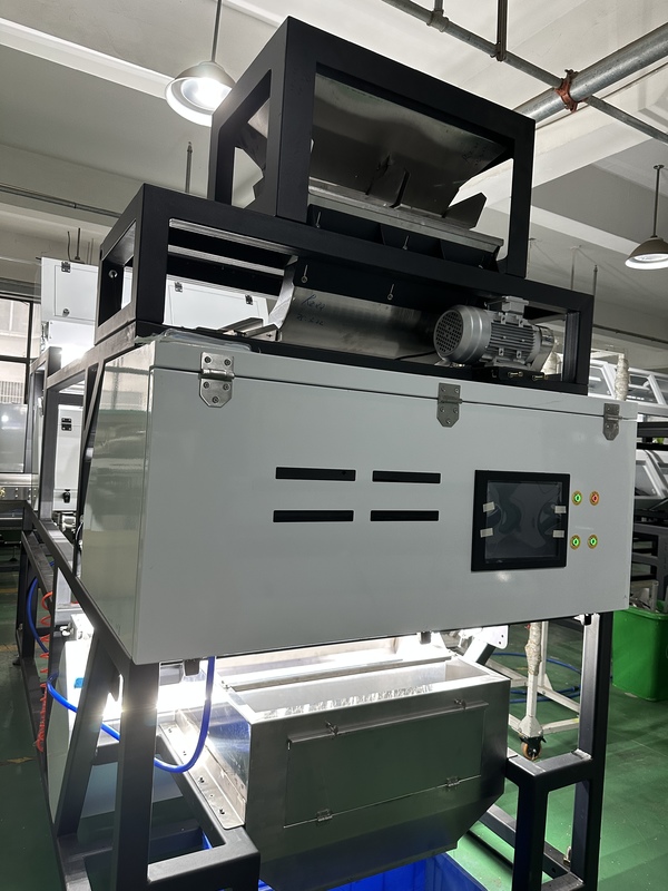 WENYAO Cinturão Óptico Color Sorter Hibisco Canela Bastões Chili Color Sorting Machine com alta precisão de classificação