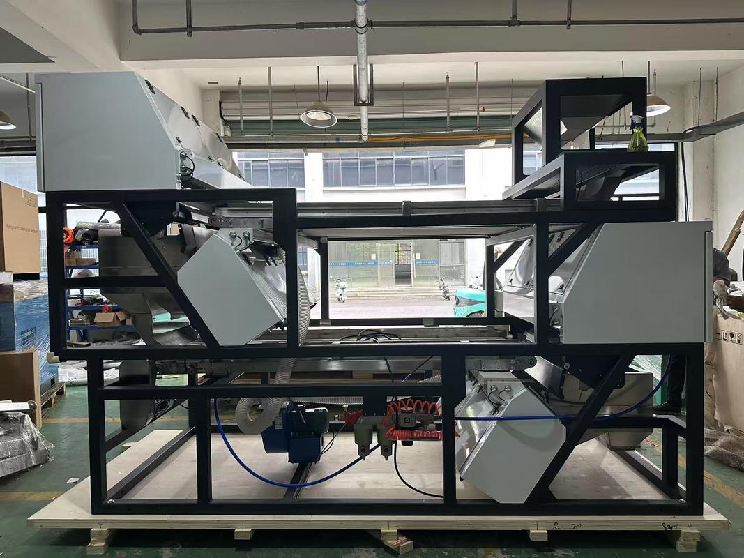 WENYAO Cinturão Óptico Color Sorter Hibisco Canela Bastões Chili Color Sorting Machine com alta precisão de classificação