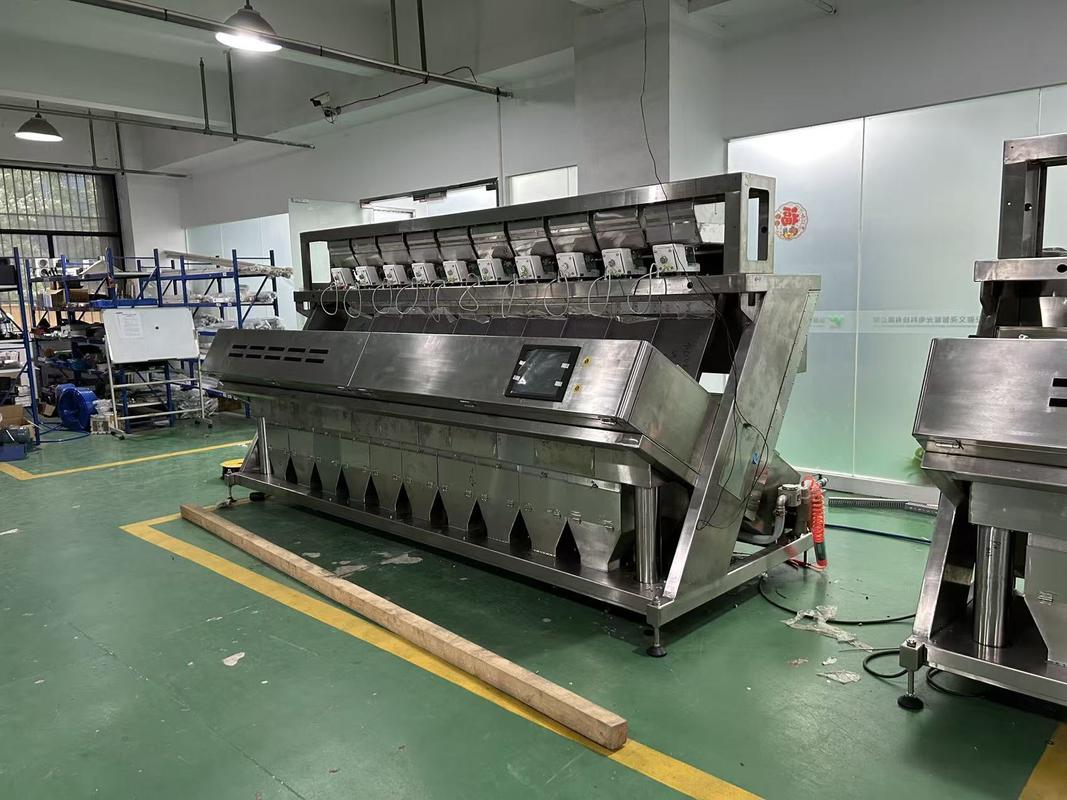 Large Output 304ss 316 Stainless Steel Intelligent Color Sorter Machine for Salt