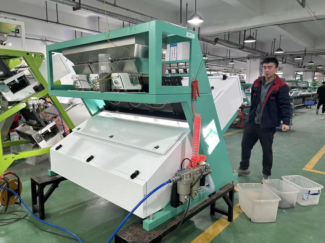 Wenyao Máquina de seleção de cores de alta capacidade de milho, trigo, feijão, feijão largo, feijão