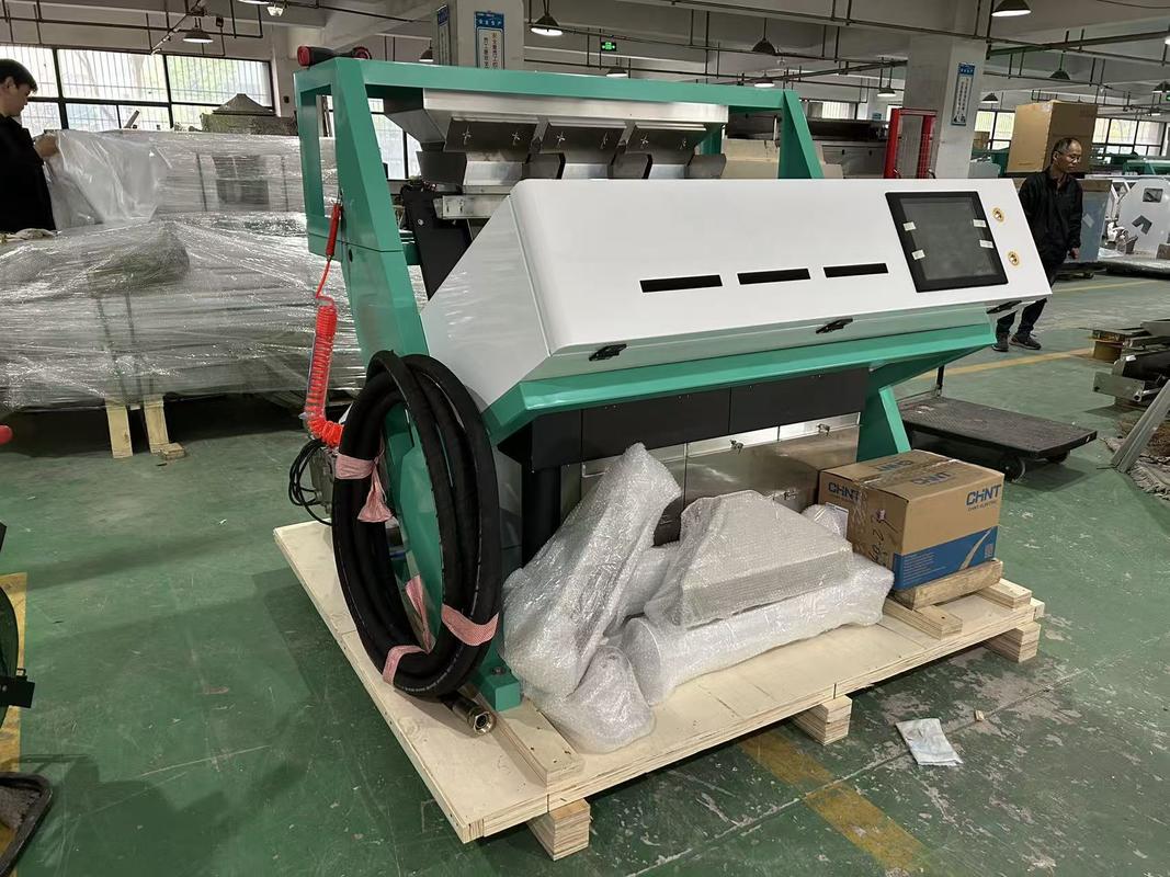 Wenyao Máquina de seleção de cores de alta capacidade de milho, trigo, feijão, feijão largo, feijão