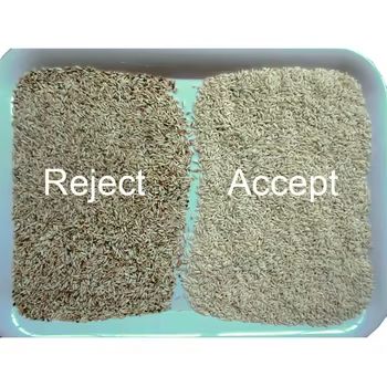 Sortadora de cor de arroz inteligente Máquina de classificação de cor de milho amarelo para trigo feijão com alta precisão 4 canais