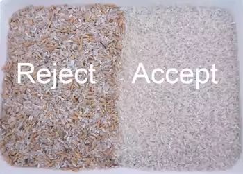 CCD Color Sorter Hazelnut Sorting Machine Máquina multifuncional de classificação de cores para arroz de sementes de linhaça de gergelim