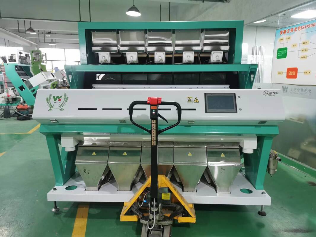 Wenyao Almeida Color Sorter Machine Trigo Color Sorter Nozes Color Sorting Machine
