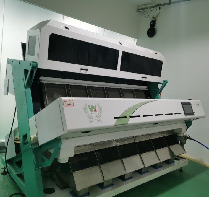 Wenyao High Technology Multi Function Wheat Buckwheat Barley Color Sorter Máquina de classificação de cores