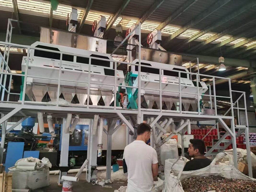 Wenyao High Technology Multi Function Wheat Buckwheat Barley Color Sorter Máquina de classificação de cores