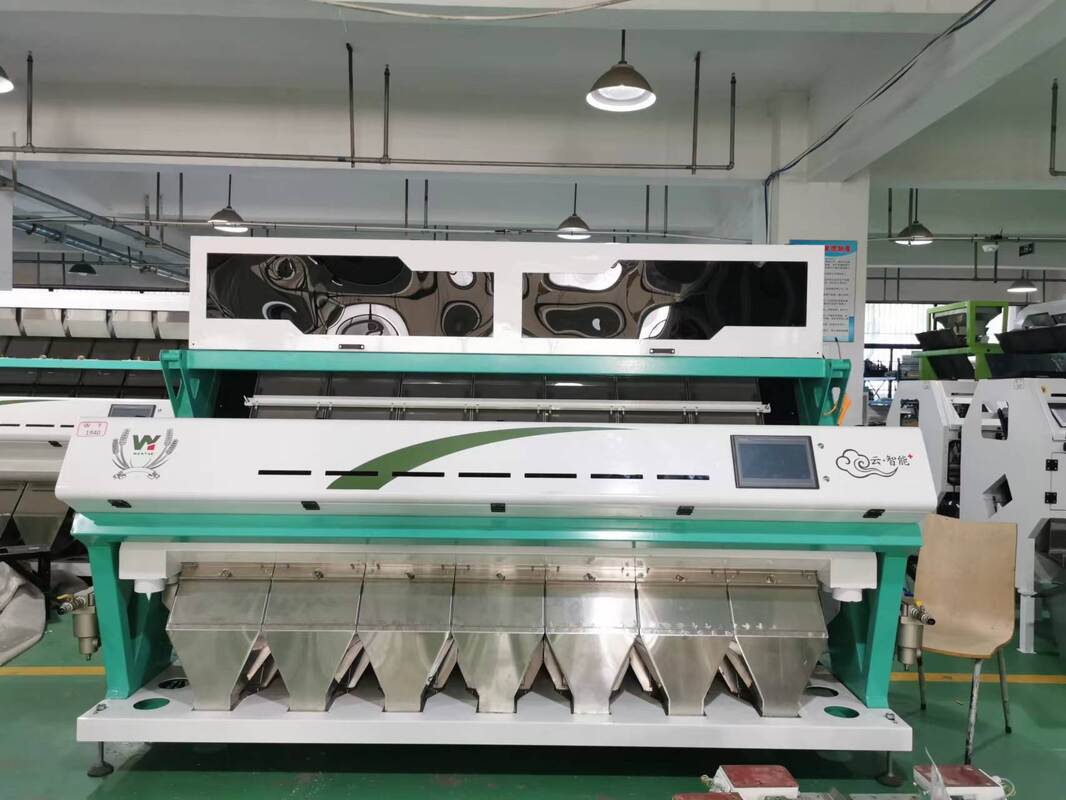 7 chute CCD Grão Noz Feijão Caju Noz Color Sorter RGB Arroz Color Sorting Machine