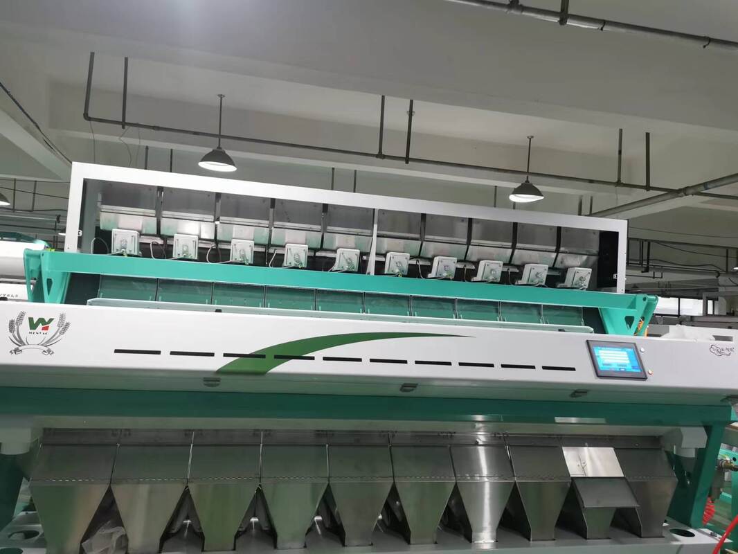 Wenyao Sea Buckthorn Ai Color Sorter Machine Fruit Sorting Red Bean Walnut Kernel Basmati Rice Lentil Coffee Seed Color