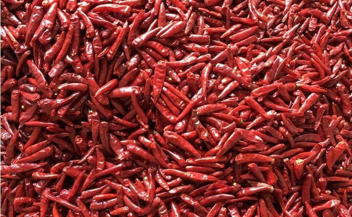 Máquina de Classificação de Cores Inteligente para Serviços Pesados Wenyao com Câmera CCD RGB para Classificação de Pimenta e Alho e Saída de 1000-1500 kg/h com Controle Remoto Wifi