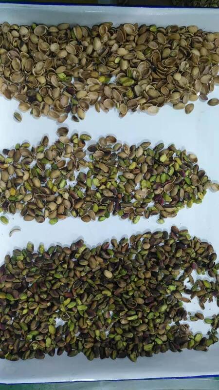 Classificador Automático de Nozes Wenyao com Sensor CCD TOSHIBA, Funil de Aço Inoxidável 304 de Grau Alimentício e Controle Remoto Wifi para Classificação de Nozes de Alta Eficiência