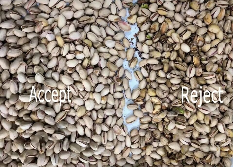 Classificador Automático de Nozes Wenyao com Sensor CCD TOSHIBA, Funil de Aço Inoxidável 304 de Grau Alimentício e Controle Remoto Wifi para Classificação de Nozes de Alta Eficiência