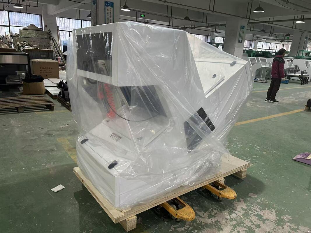 WENYAO 1 Máquina de Classificação Óptica por Cor para Castanhas Secas Desidratadas