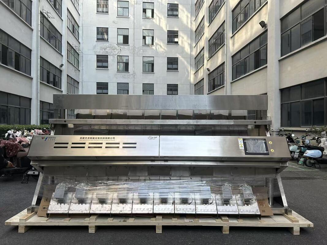 WENYAO 2025 Industrial Salt Color Sorter Machine in Salt Processing Line
