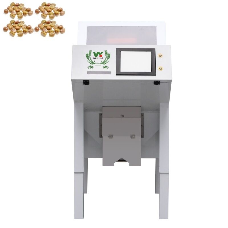 WENYAO 1 Máquina de Classificação Óptica por Cor para Castanhas Secas Desidratadas