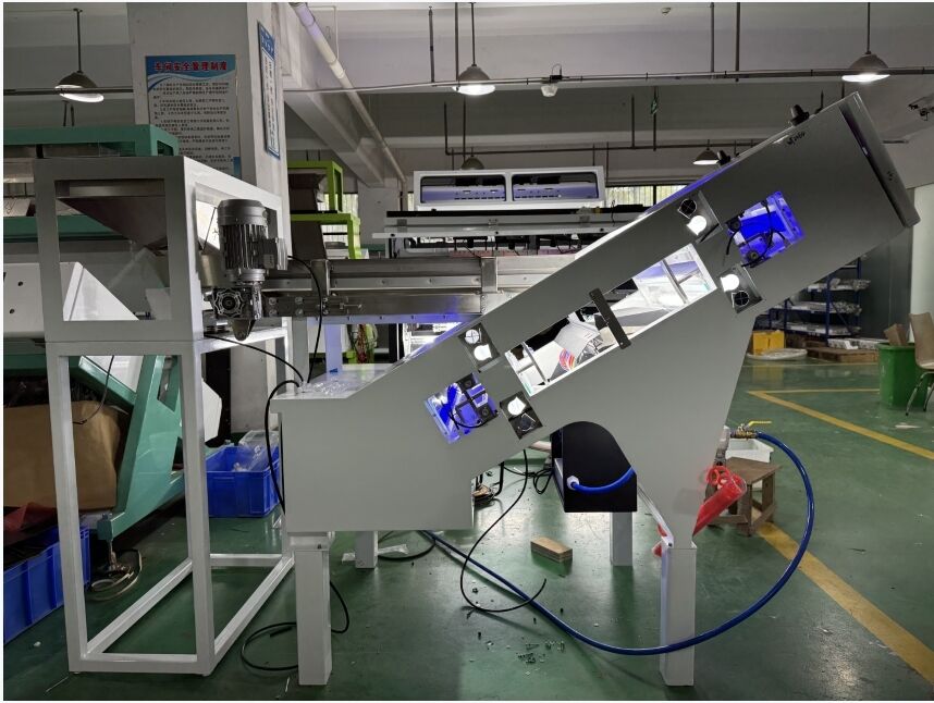 WENYAO 2025 Novo Modelo de Cinturão de Classificador de Cor Óptica para Cereja de Café e Kumquat