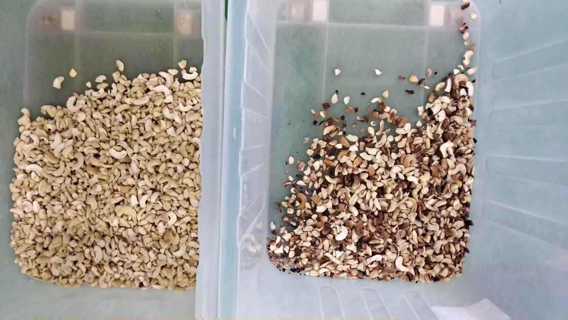 WENYAO Alta precisão 2 canais Nuts Color Sorter Remover Moldy Shell Podre Impuridade para todos os tipos de processamento de nozes