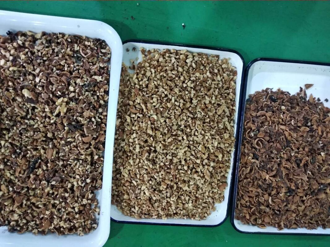 Máquina Profissional Wenyao de Separação de Nozes, Amendoim, Castanha de Caju, Noz, Nozes de Areca, Máquina de Classificação por Cor com Controle Remoto WIFI