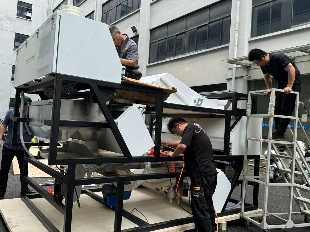 Sortador automático de cores de grãos de quartzo com 99,99% de precisão de triagem e detecção de câmera de dois lados