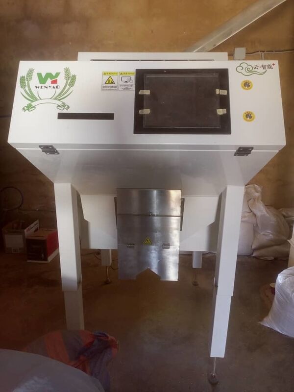 Wenyao Venda Quente Máquina de Seleção de Cor Óptica Grãos de Café Máquina de Seleção de Cor