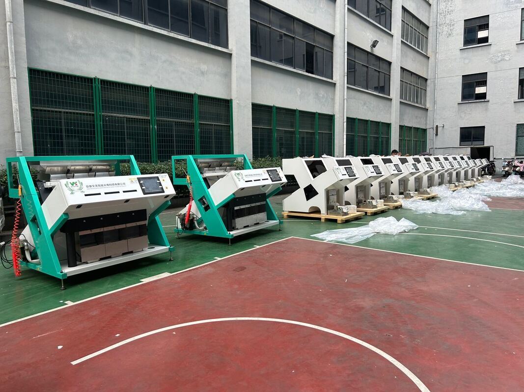 Wenyao Venda Quente Máquina de Seleção de Cor Óptica Grãos de Café Máquina de Seleção de Cor