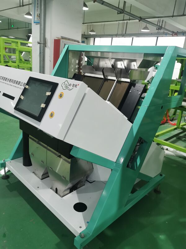 Wenyao Optical CCD Candle Nut Color Sorter Machine Anhui Color Sorter Grão Color Sorter Machine