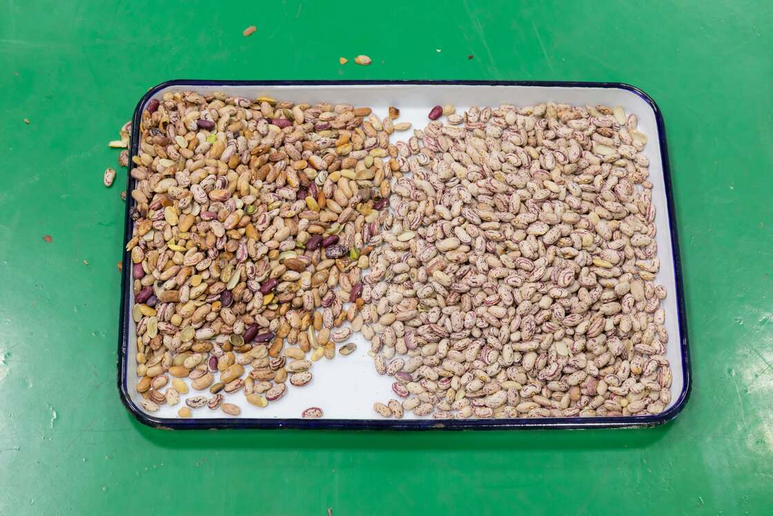 Wenyao 10 Chute 640 canais Máquina de triagem de cores de grande capacidade para feijão Mung feijão Rins feijão Sortidor óptico para triagem de nozes