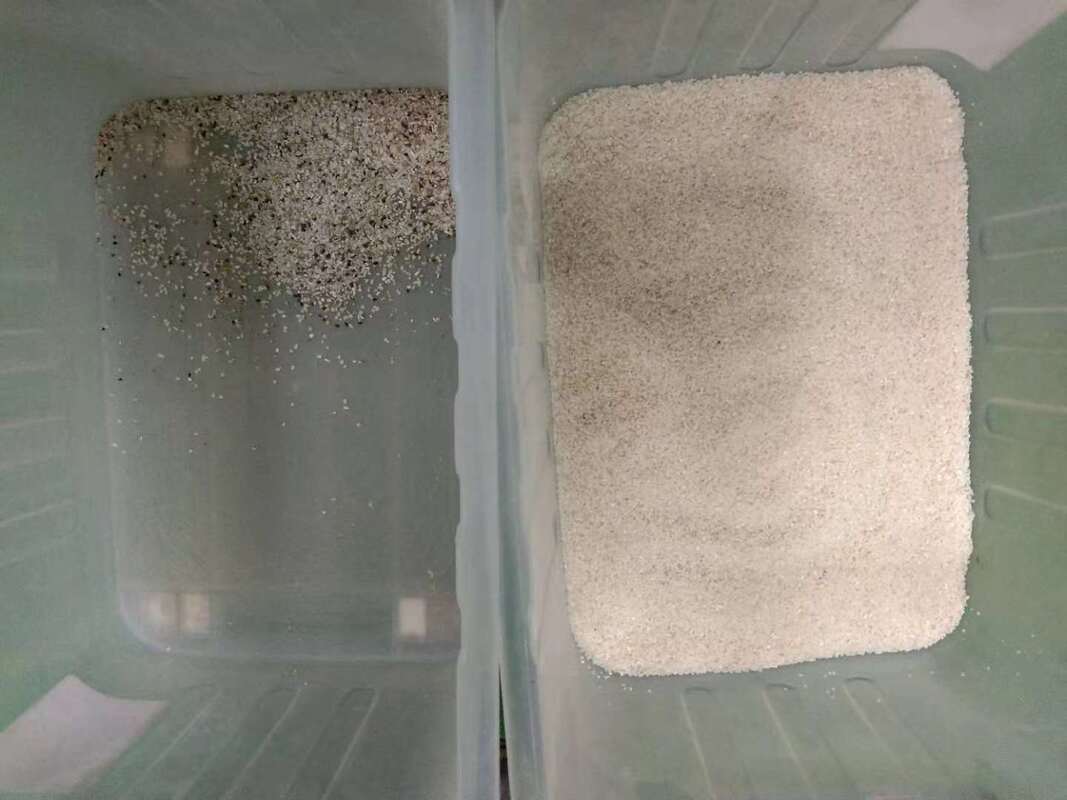 WENYAO Máquina de processamento de arroz combinada de alta qualidade de alta capacidade para uso agrícola Japão para CCD Sensor 0,999 Precisão de cor