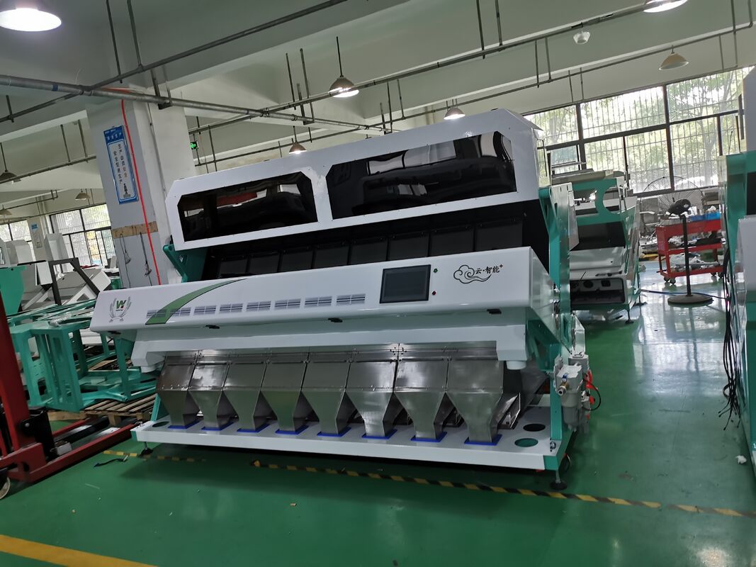 8 Chute Peanuts Color Sorter Machine 512 Channels Nuts Color Sorter CCD Color sorter para grãos