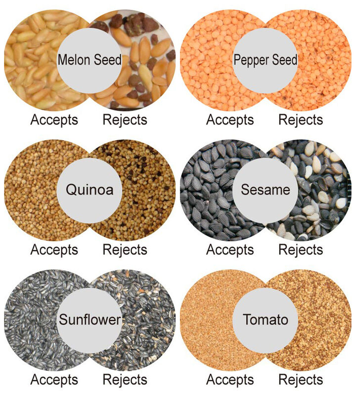 WENYAO Nuts Color Sorter com capacidade de 2400-4000kg e precisão de 0,999 para Macadamia Nuts Sorting