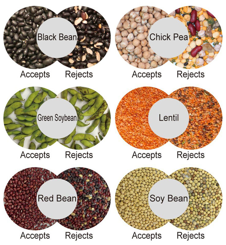 WENYAO CCD Câmera AI Classificadora de Nozes com Detecção de Cor Total, Operação Estável e Precisão de ≥99,99% para Nozes