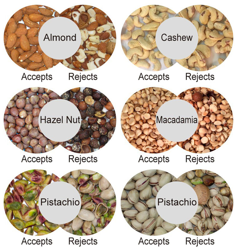 WENYAO Alta precisão 2 canais Nuts Color Sorter Remover Moldy Shell Podre Impuridade para todos os tipos de processamento de nozes