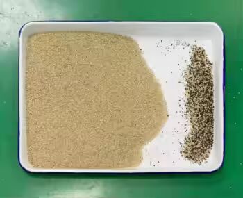 Sortador de cores de grãos de alta precisão com saída 3-8TPH e precisão de triagem ≥ 99,99% para arroz trigo moído quinoa milho de trigo