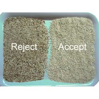 Sortador de cores de grãos de alta precisão com saída 3-8TPH e precisão de triagem ≥ 99,99% para arroz trigo moído quinoa milho de trigo