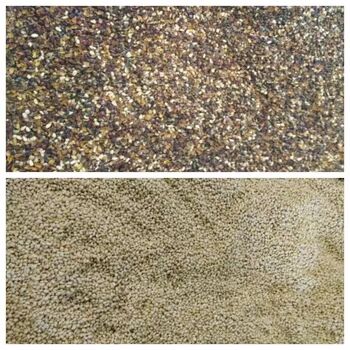 Sortadora de cores de arroz multifuncional com 1-4 t/h de produção e ≥ 99,99% de precisão de triagem para grãos e sementes