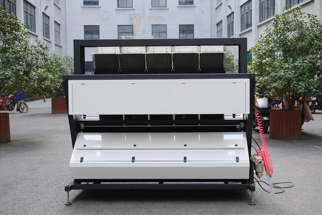 Wenyao 5 Chute Classificador Óptico Inteligente Classificador de Cor Automático de Noz Classificador de Cor de Kernel e Casca de Pinheiro