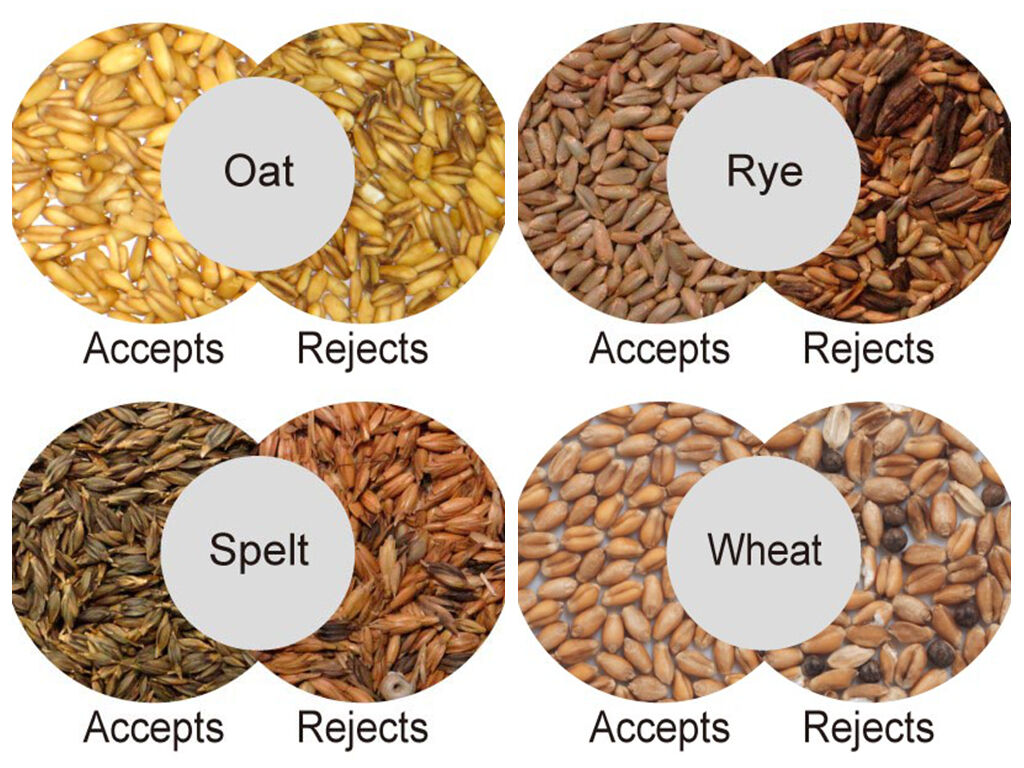 WENYAO Máquina avançada de separação de cores de arroz Máquina de triagem de cores de arroz 900kg/H Capacidade CCD Core Fácil manutenção