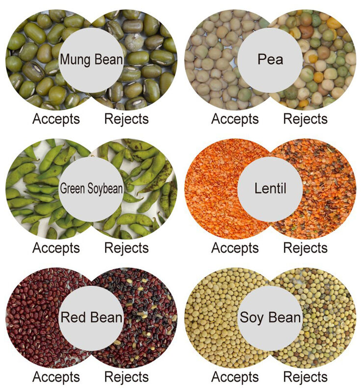 Máquina de triagem de grãos de café WENYAO AI Color & Shape Sorter 99,99% Precisão 2500-8000kg/h Capacidade Alta pureza Garantia de 2 anos