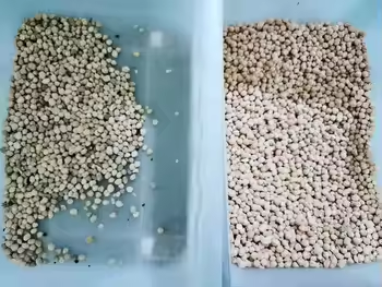 Bestselling Color Sorter For  Rice Wheat Separating Machinie Corn Kernels Grain Shape Separator