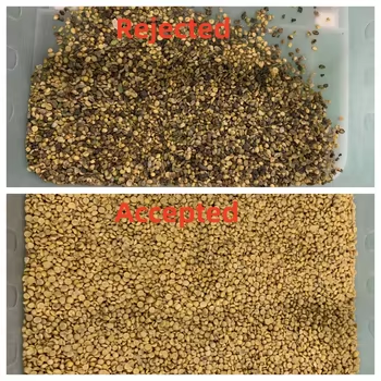Bestselling Color Sorter For  Rice Wheat Separating Machinie Corn Kernels Grain Shape Separator