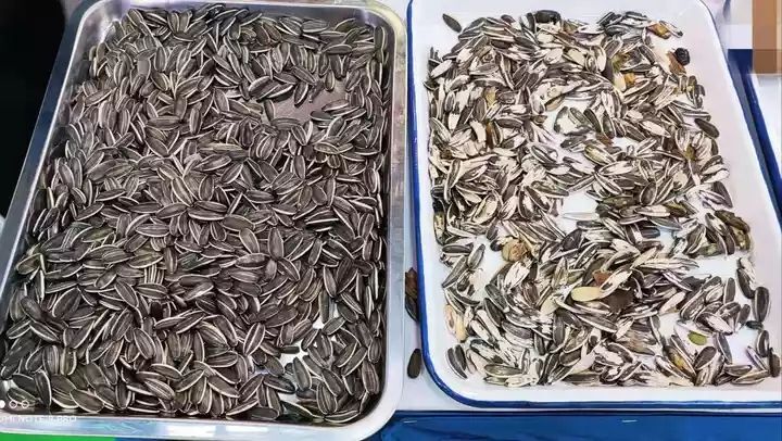 Classificador de cores CCD para amendoim, amêndoas, nozes, máquina de classificação inteligente de cores com alta precisão