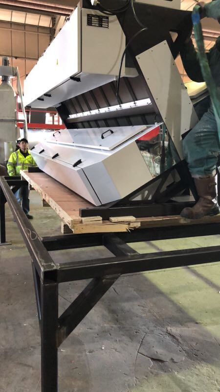 High Output Grain Coffee Beans Sunflower Seeds Color Sorter Machine with 99.95% Sorting Accuracy and 8 Chutes 512 Channels Featuring Japan Toshiba CCD Sensor