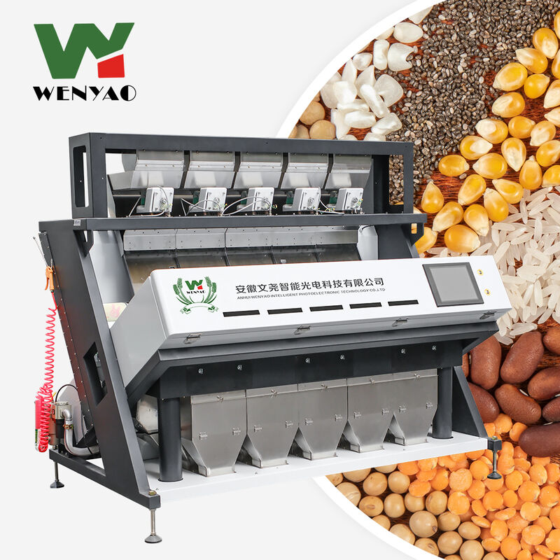 Máquina de classificação de cores de arroz de alta precisão CCD avançado equipamento de classificação óptica para grãos e sementes