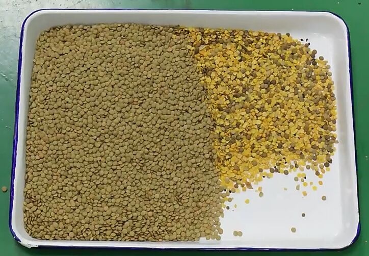 Wenyao 10 Chute 640 canais Lentes de grande capacidade Mung Bean Color Sorter Machine Sorter óptico para a triagem de amendoim