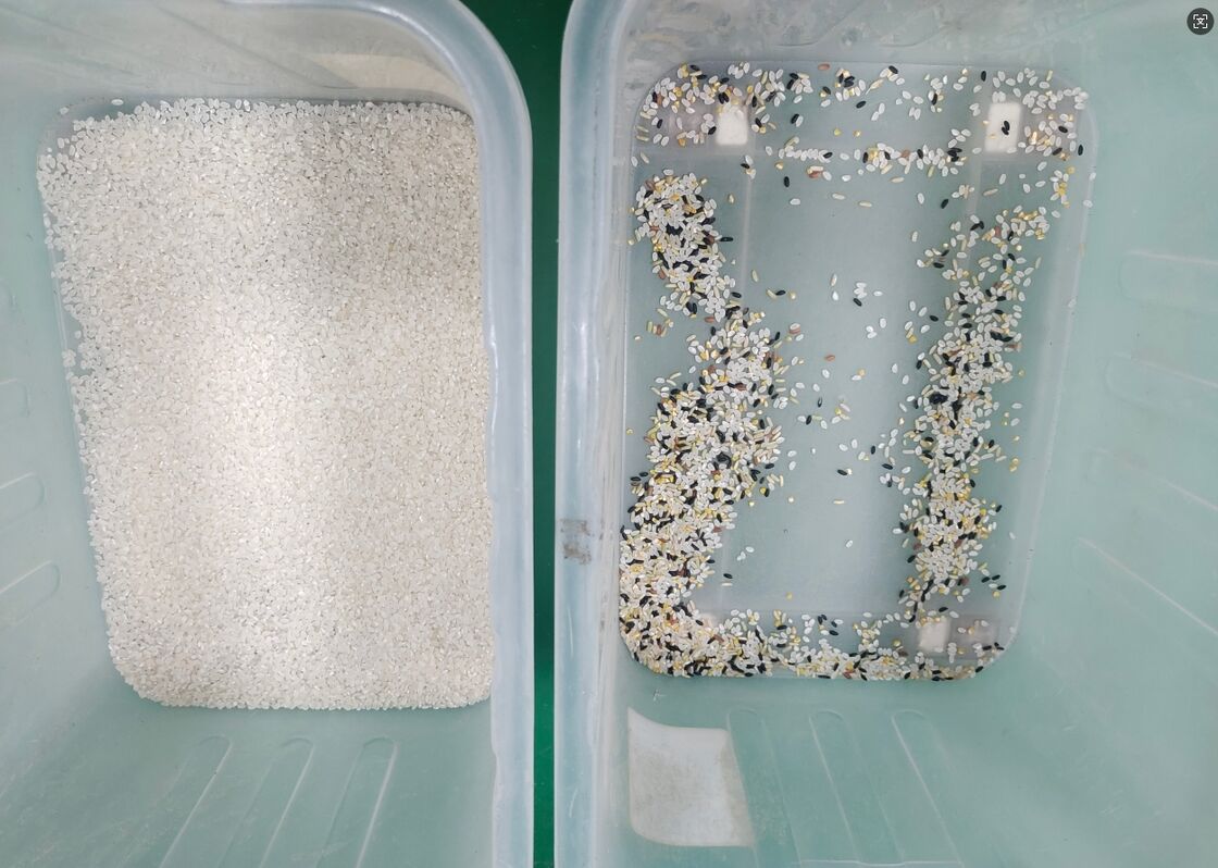 China Máquina automática de triagem de cores de arroz de alta tecnologia
