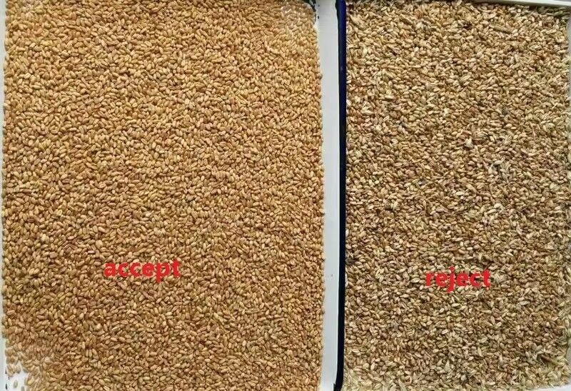 China Máquina automática de triagem de cores de arroz de alta tecnologia