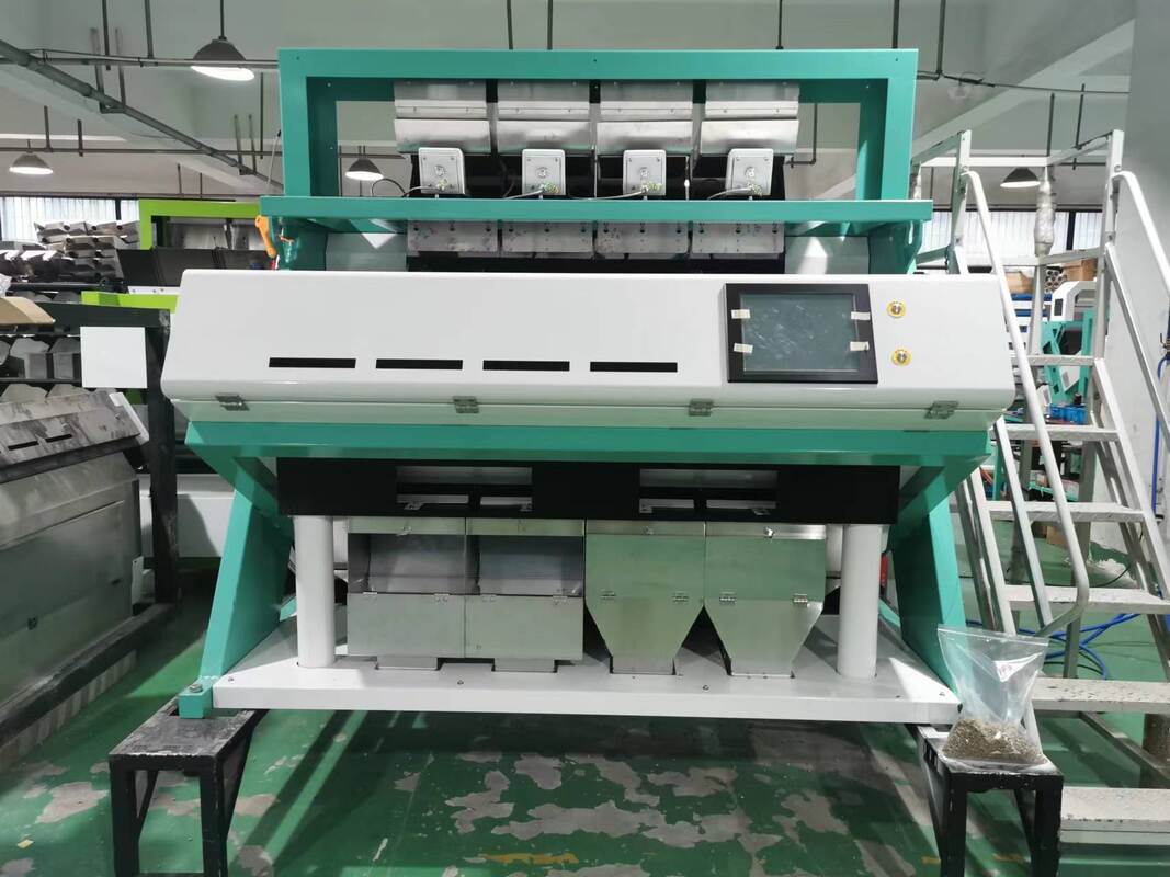 Máquina de triagem de cores de amendoim de pistache Wenyao